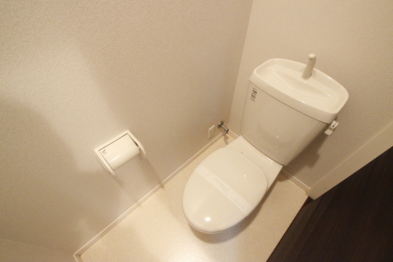 トイレ　写真は別号室です。