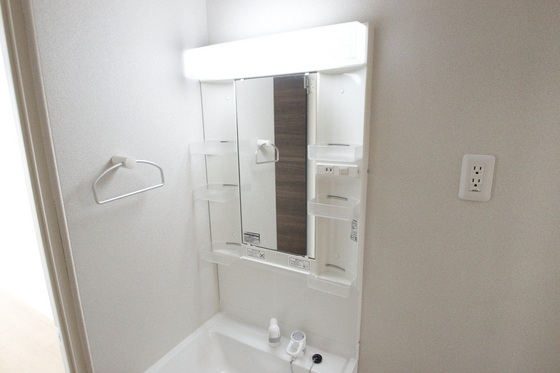 洗面設備　写真は別号室です。