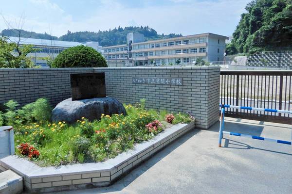 小学校　いわき市立豊間小学校（小学校）まで3100m