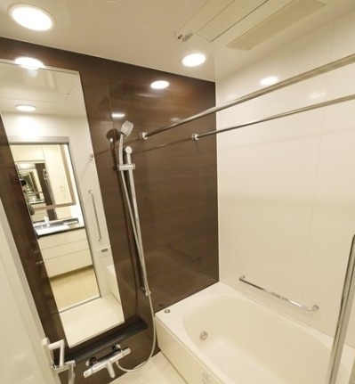 バス・シャワールーム　パークシティ大崎　ザ　タワー（別部屋参考画像）