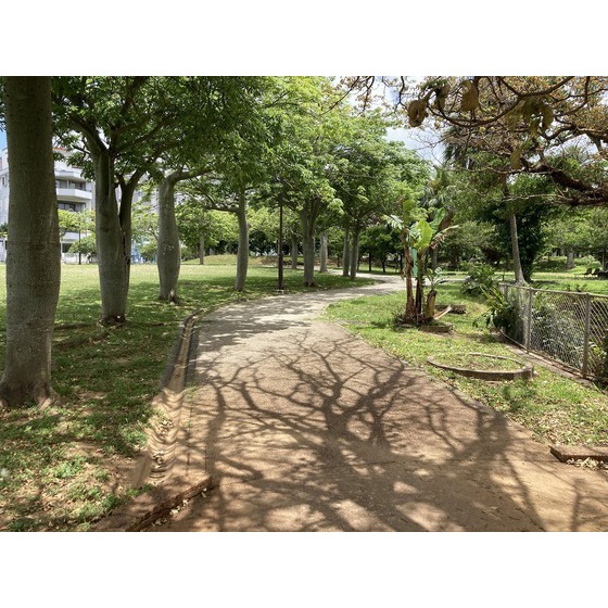 公園　松山公園（公園）まで740m