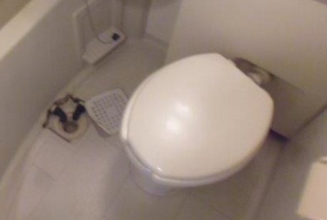 トイレ　※他号室写真