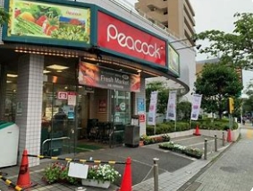スーパー　ピーコックストア桜新町店（スーパー）まで501m