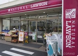 コンビニ　ナチュラルローソン世田谷弦巻三丁目店（コンビニ）まで234m