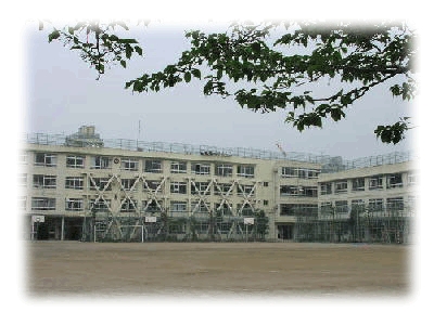 中学校　代々木中学校（中学校）まで850m