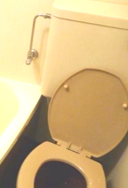 トイレ　トイレです