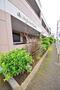その他　植栽