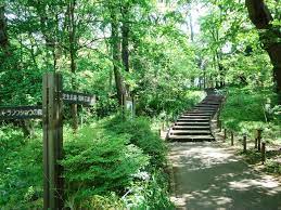 公園　林試の森公園（公園）まで564m