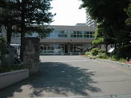 小学校　札幌市立平岸小学校（小学校）まで343m