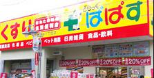 ドラックストア　どらっぐぱぱす 南馬込店（ドラッグストア）まで1029m