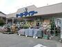 ホームセンター　ケーヨーデイツー奥戸店（ホームセンター）まで348m