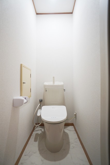 ＪＲ総武線 下総中山駅 徒歩10分 2階建 築37年のトイレ写真