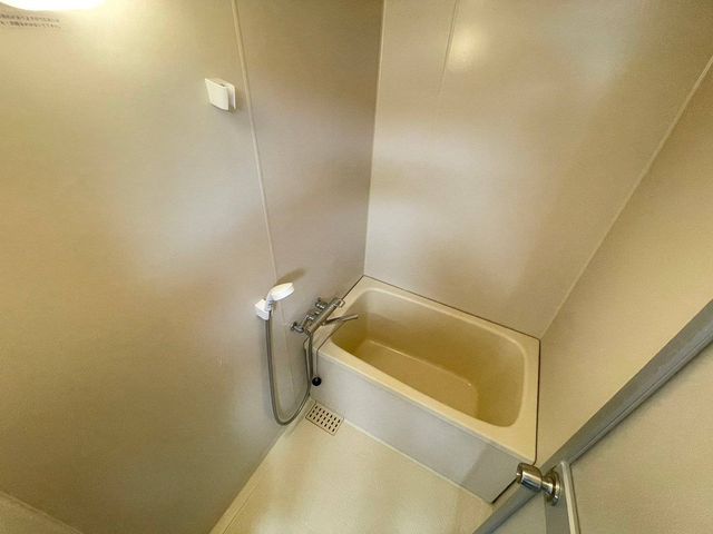 トラッドワカシマIIの風呂写真