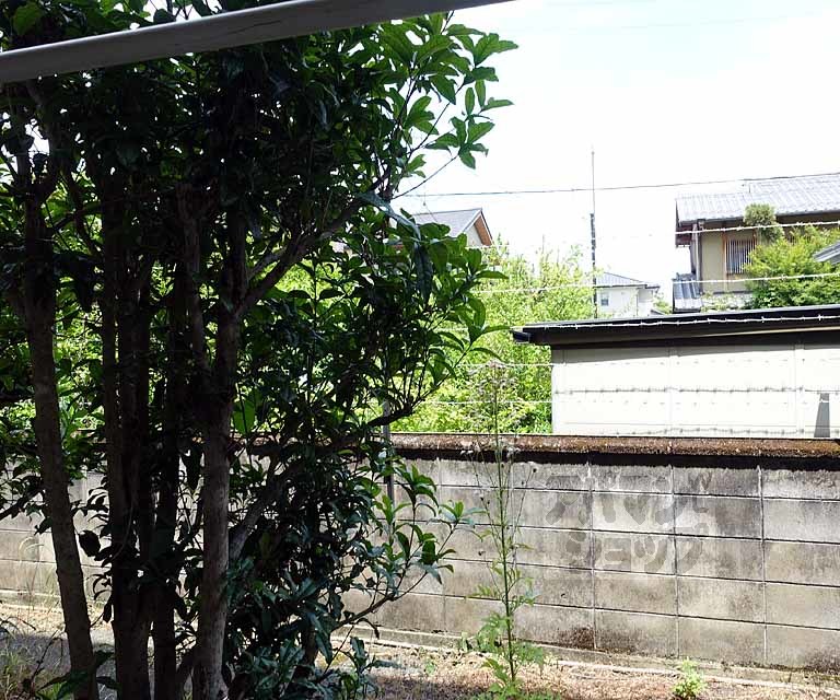グリーンヴィレッジのその他写真