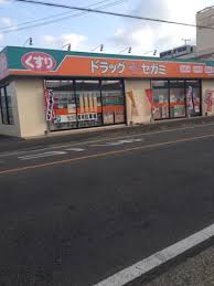 ドラックストア　ドラッグセガミ那珂川店（ドラッグストア）まで565m