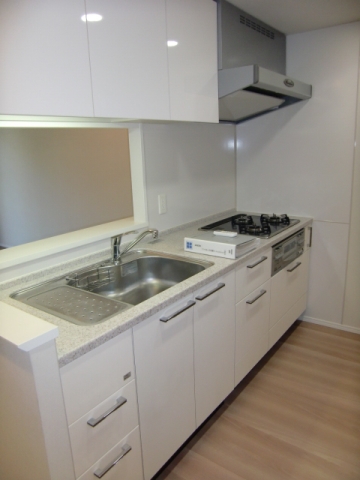 キッチン　同タイプ1F参考写真