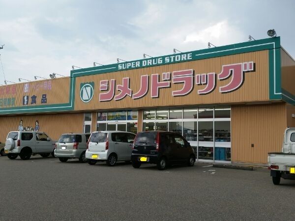 【高岡市福岡町荒屋敷のアパートのドラックストア】