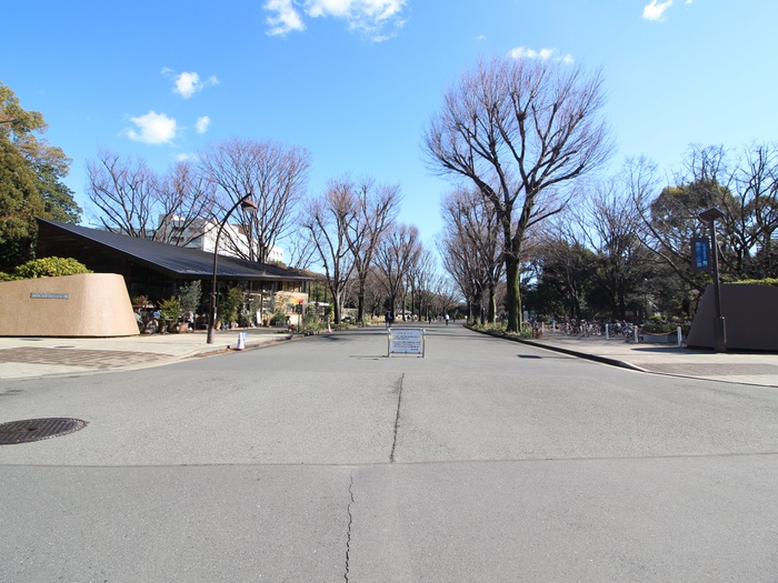 公園　駒沢公園（公園）まで19m