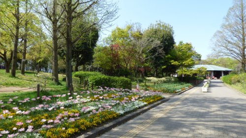 公園　上坂部西公園 (尼崎市都市緑化植物園)（公園）まで935m