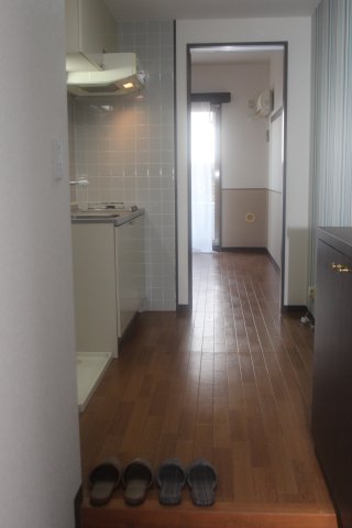玄関　※同建物ほかのお部屋の写真です。