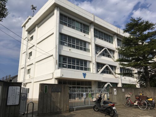 小学校　望洋小学校（小学校）まで901m