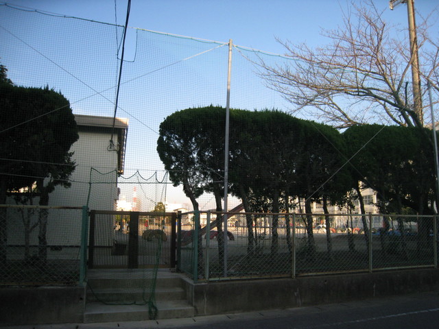 小学校　市川市立塩焼小学校（小学校）まで486m