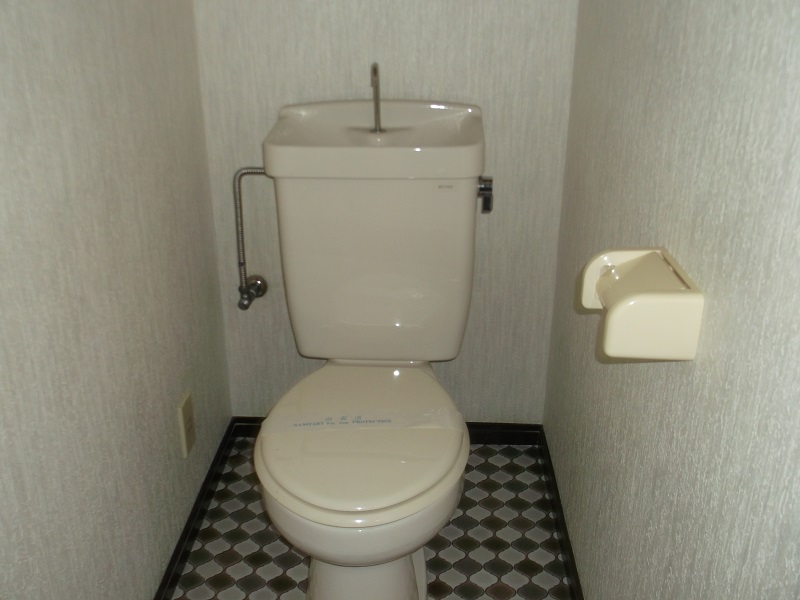 ＪＲ宇都宮線 雀宮駅 徒歩22分 2階建 築34年のトイレ写真