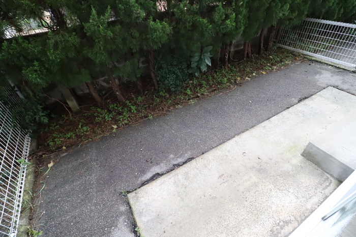 庭