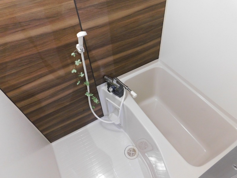 バス・シャワールーム　装飾品は撮影用です