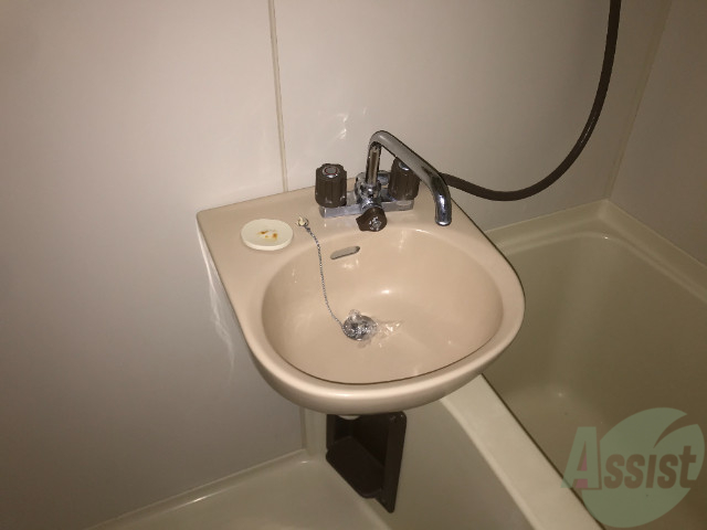 洗面設備　かわいらしい洗面ボウルです。歯磨きもしやすいよね。