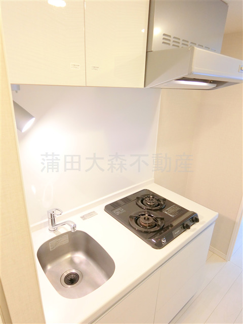 キッチン　2口ガスシステムキッチン