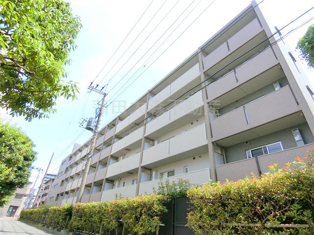 建物外観　2013年3月築　RC鉄筋コンクリート造地上6階建て1K 1