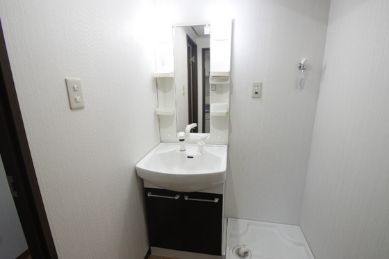 洗面設備　※別号室の写真になります。