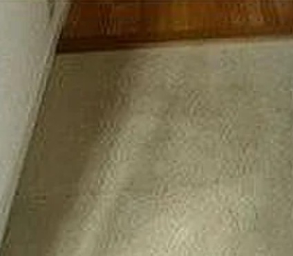 玄関　※別部屋参照