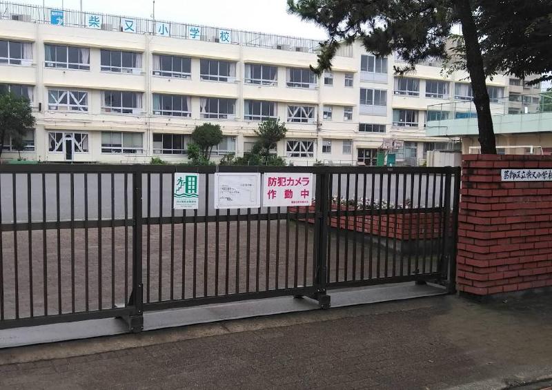 小学校　葛飾区立柴又小学校（小学校）まで111m