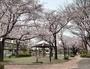 公園　鎌倉公園（公園）まで251m