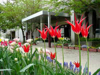 小学校　泉台小学校（小学校）まで1210m