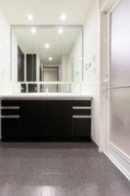 洗面設備　同マンション参考写真です