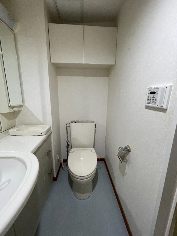 トイレ　※お掃除前のお写真です