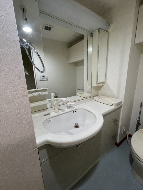 洗面設備　※お掃除前のお写真です