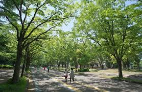 公園　都立駒沢公園西口（公園）まで347m