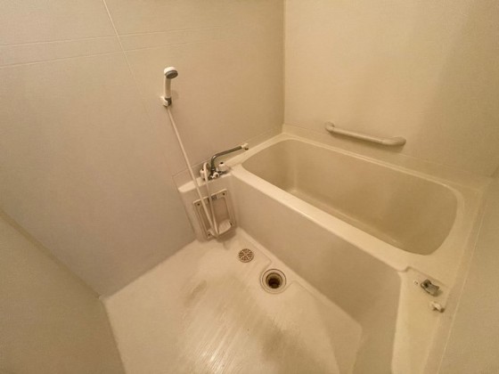 バス・シャワールーム　※別部屋の写真です