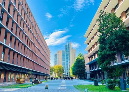 大学・短大　私立東京農業大学（大学・短大）まで882m