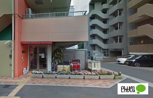 幼稚園・保育園　横濱あんじゅ保育園（幼稚園・保育園）まで818m