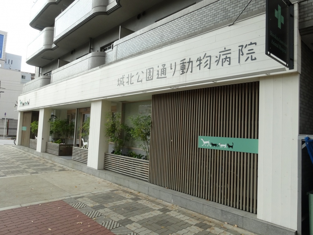病院　城北公園通り動物病院（病院）まで167m