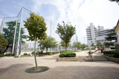 公園　五条公園（公園）まで400m