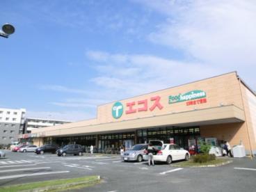 スーパー　エコス TAIRAYA(たいらや) 中神店（スーパー）まで352m