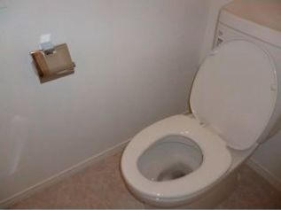 トイレ　コンパクトで使いやすいトイレです