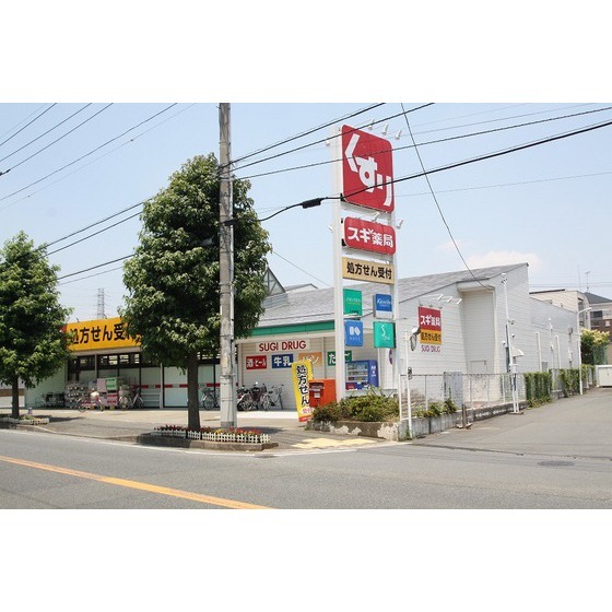 ドラックストア　スギ薬局厚木愛甲店（ドラッグストア）まで1200m