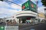 スーパー　マルエツ松原店（スーパー）まで520m